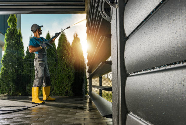 Best Fence Cleaning  in Level Plains, AL